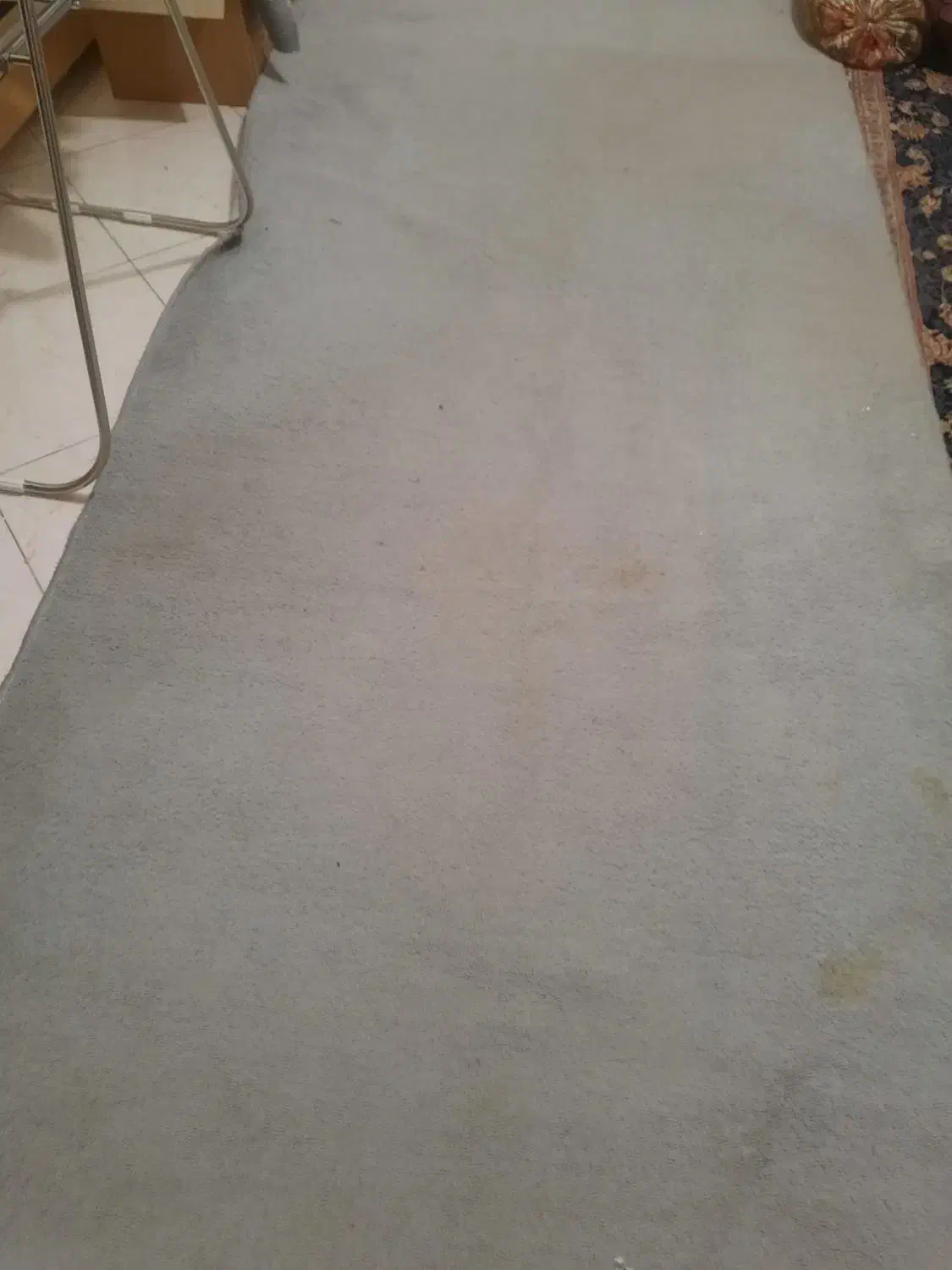 موکت ظریف در حد نو|موکت|قرچک, شهرک طلائیه|دیوار