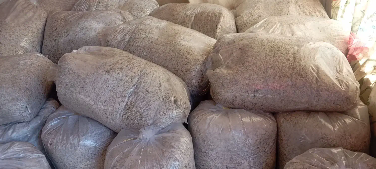 تفاله چقندر|حیوانات مزرعه|خنداب, |دیوار