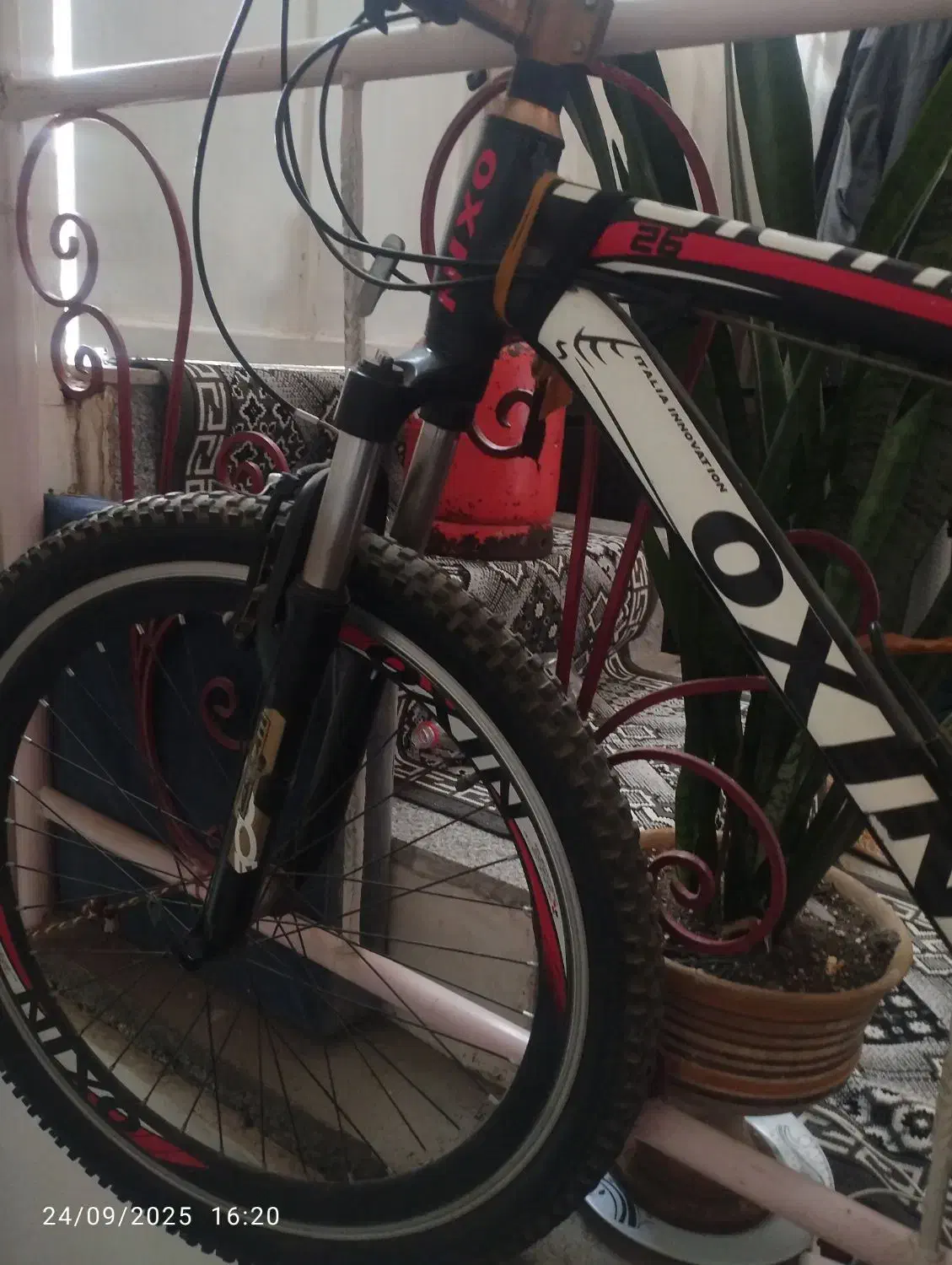 چرخ OXlN سایز26|دوچرخه، اسکیت، اسکوتر|چناران, |دیوار