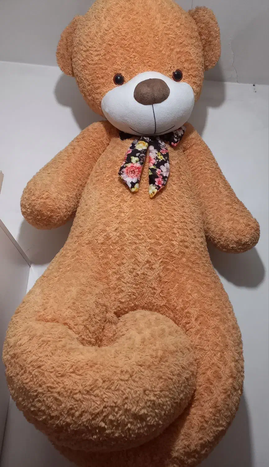 خرس|اسباببازی|قرچک, زیبا شهر|دیوار