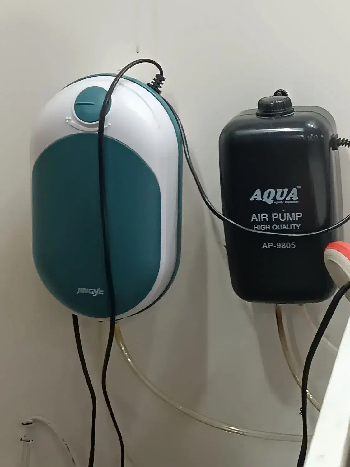 اکواریوم بزرگ|ماهی|تبریز, |دیوار