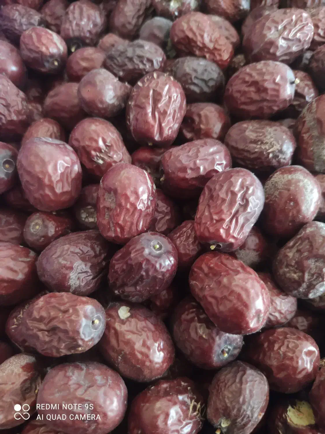 عناب|خوردنی و آشامیدنی|سرایان, |دیوار