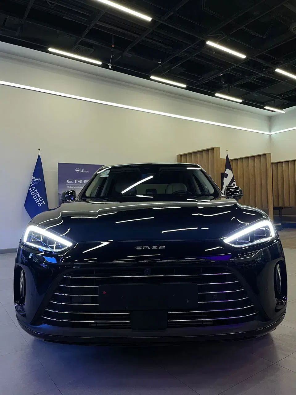 eress hm5|خودرو سواری و وانت|تهران, صادقیه|دیوار