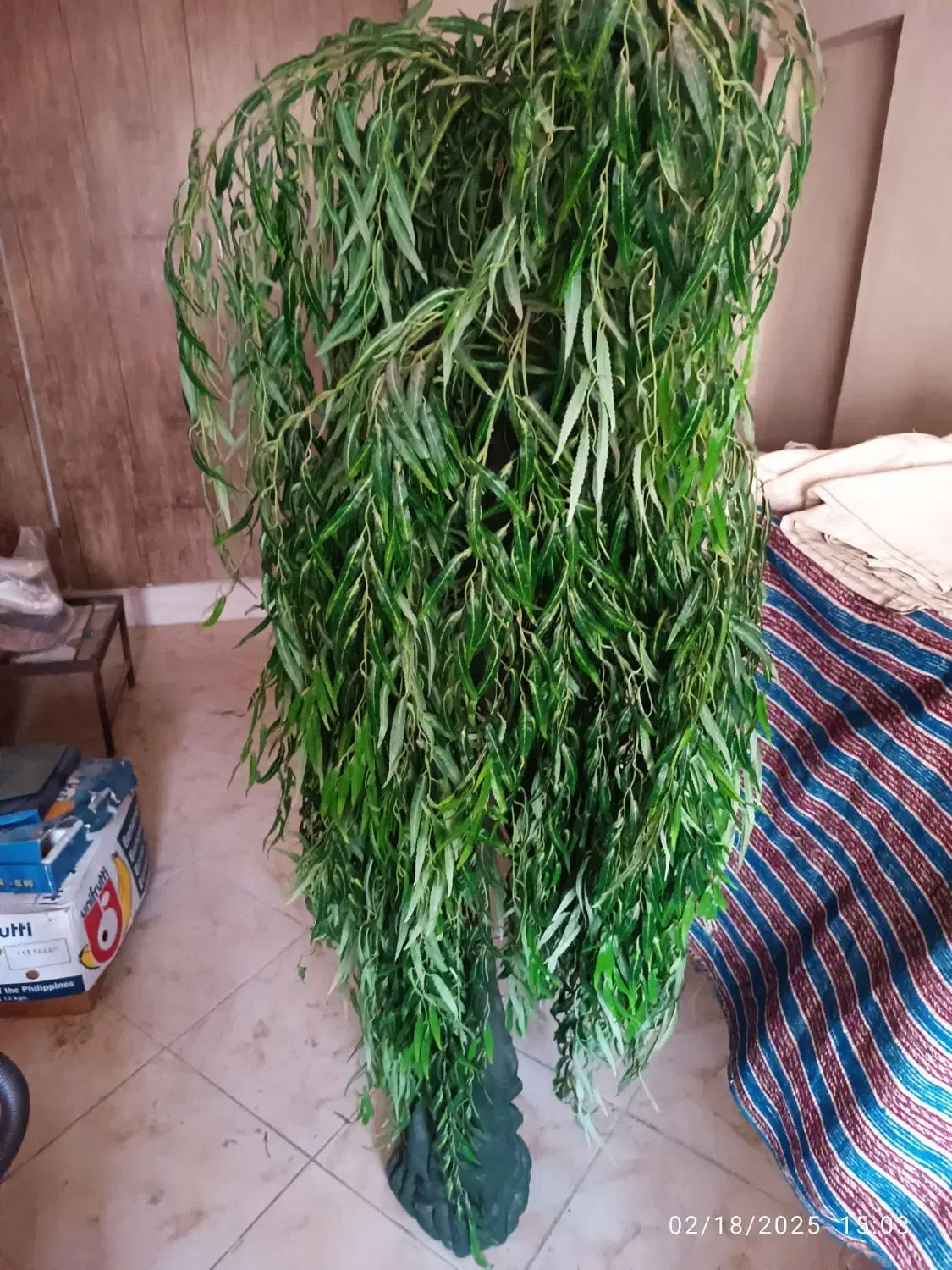 درخت مصنوعی ارتفاع ۱۹۰|گل مصنوعی|شیراز, شهرک گلستان|دیوار