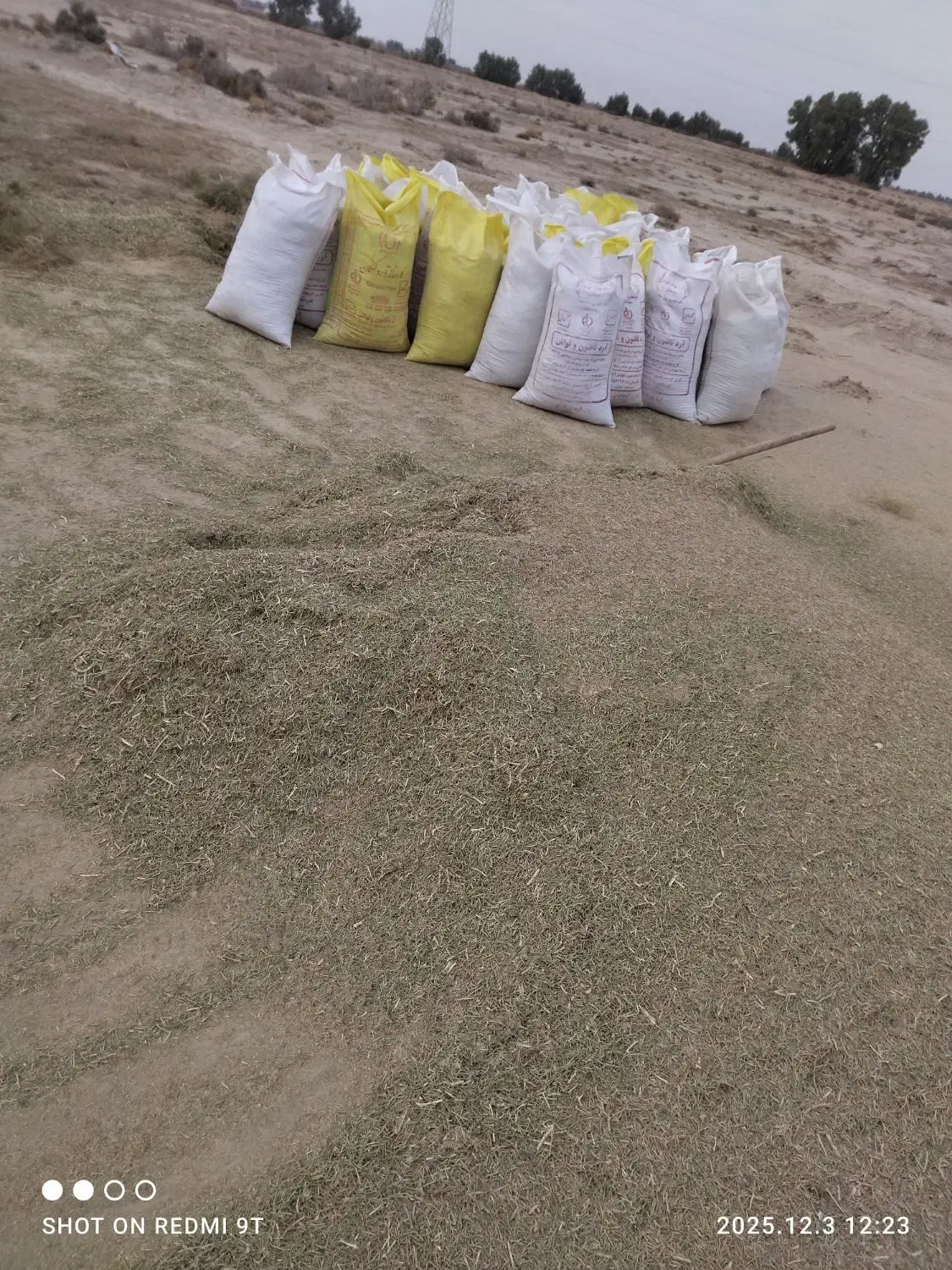 خار|خدمات باغبانی و درختکاری|زابل, |دیوار