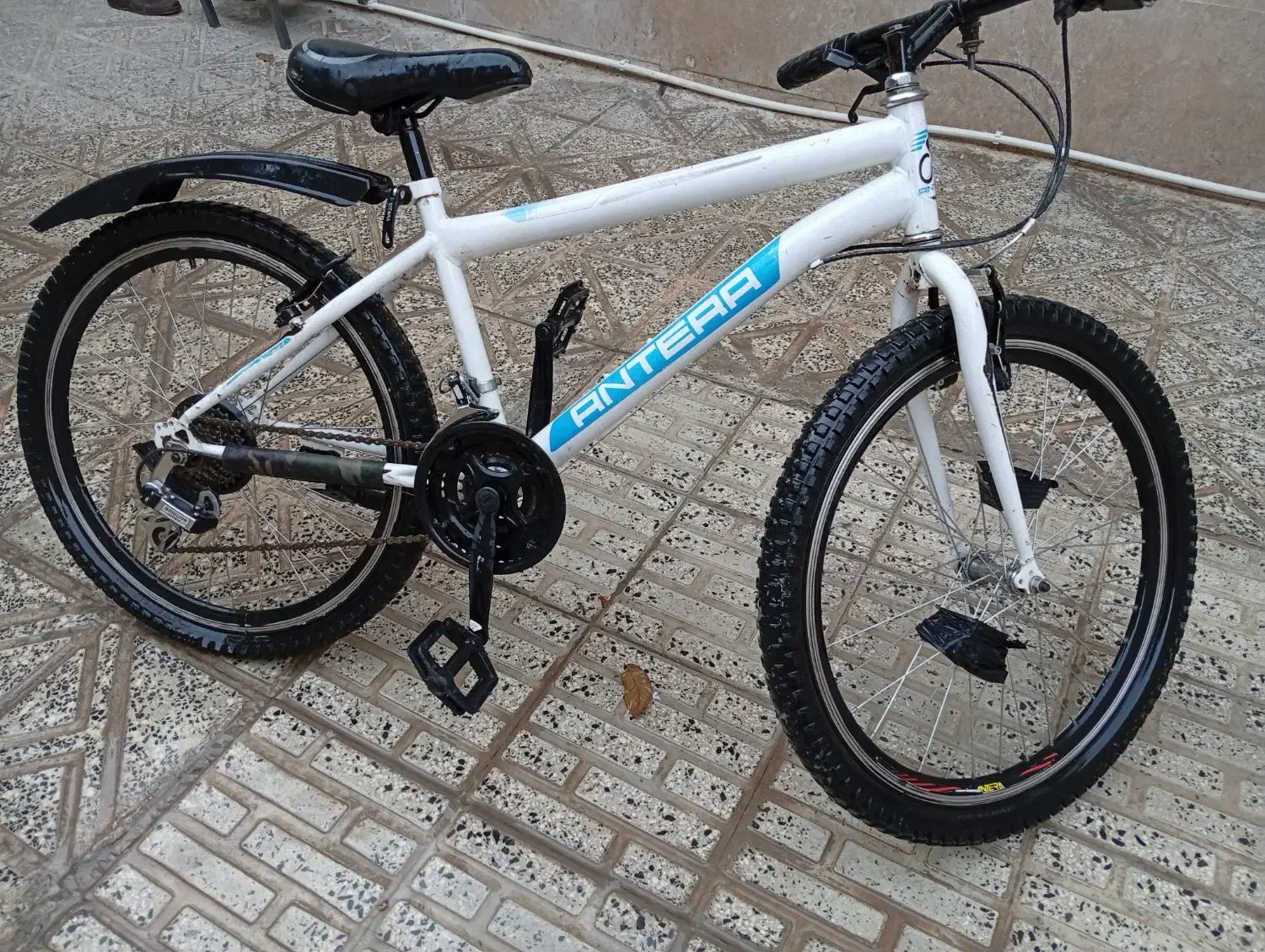 دوچرخه 24|دوچرخه، اسکیت، اسکوتر|کرمانشاه, |دیوار