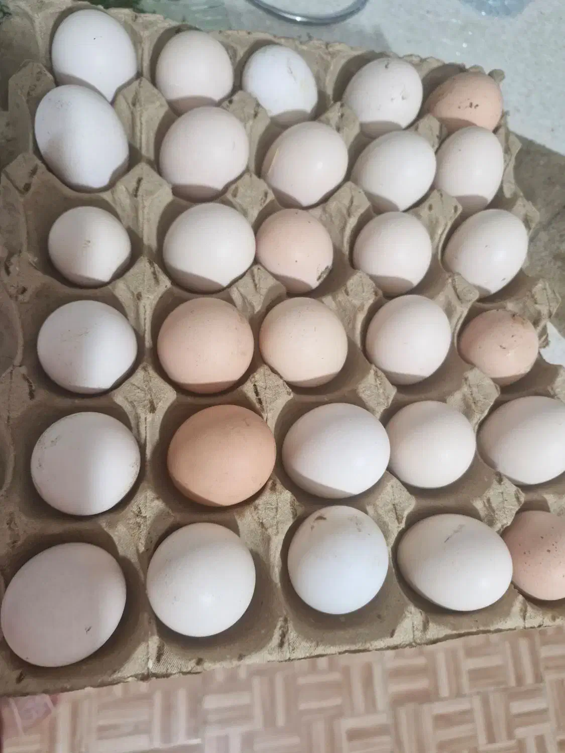 تخم مرغ محلی|خوردنی و آشامیدنی|مشهد, رباط طرق|دیوار