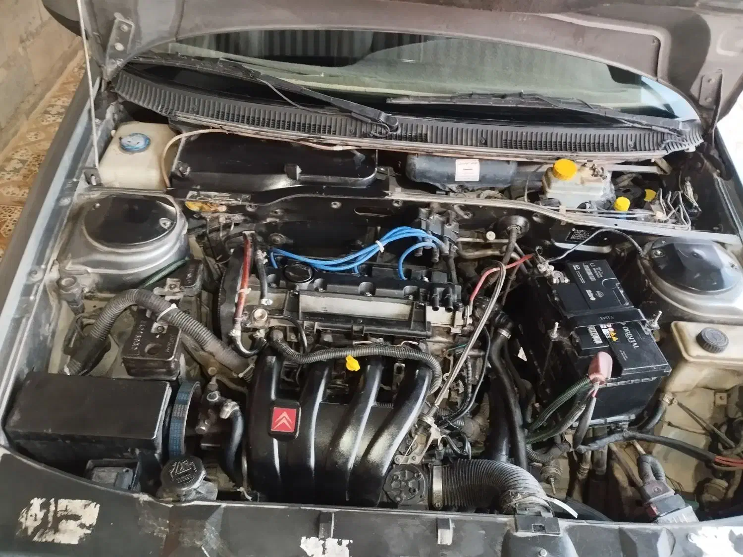 پارس Elx|خودرو سواری و وانت|شیراز, زرهی|دیوار