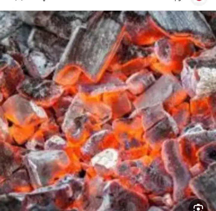 کبابی|عمدهفروشی|دوگنبدان, |دیوار