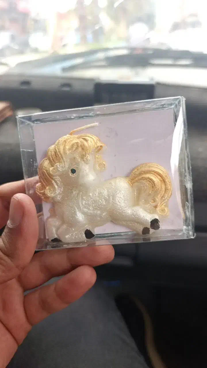 ماهی|ماهی|شوشتر, |دیوار