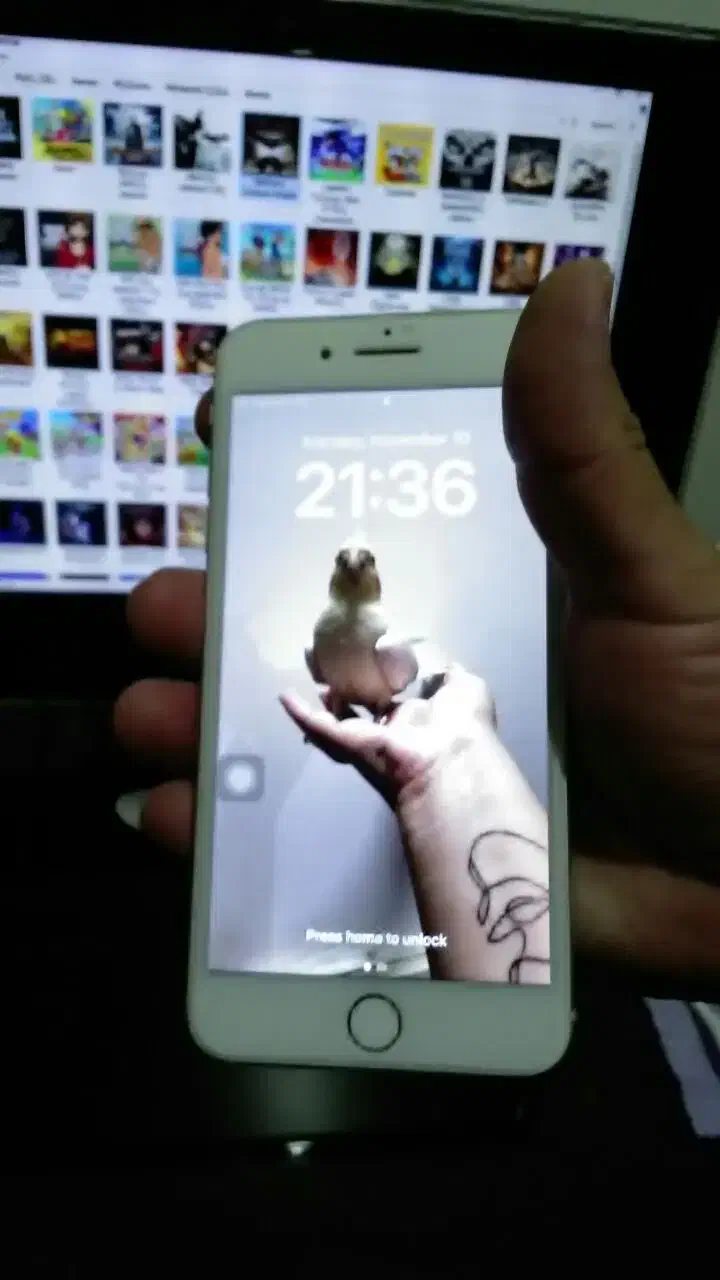 آیفون 8 پلاس|موبایل|رباط‌کریم, رباط‌کریم|دیوار