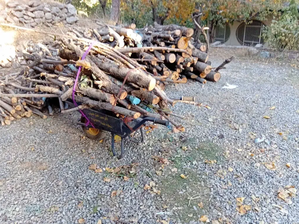 چوب درخت|عمدهفروشی|فشم, |دیوار