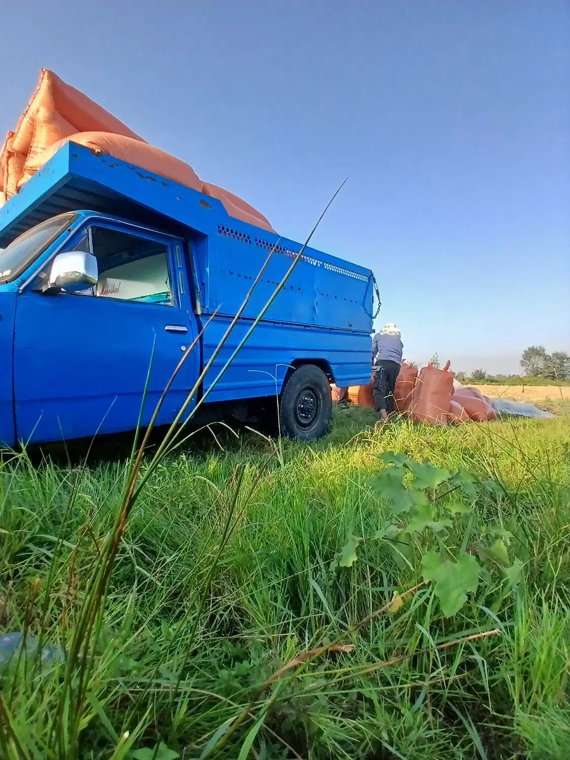 باربری و حمل نقل|خدمات حمل و نقل|صومعهسرا, |دیوار