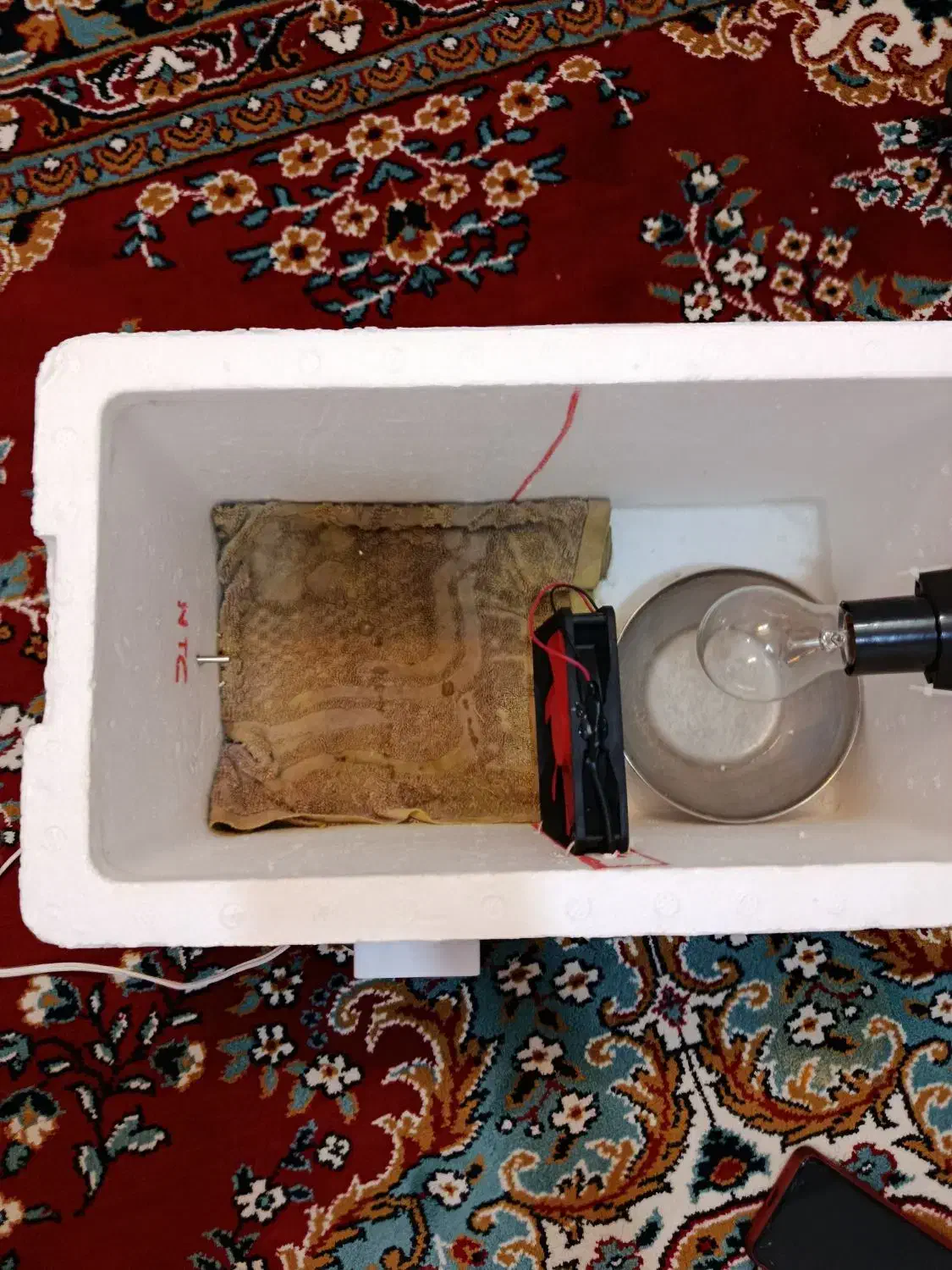 فروش دست گاه جوجه کشی|لوازم جانبی حیوانات|ابرکوه, |دیوار