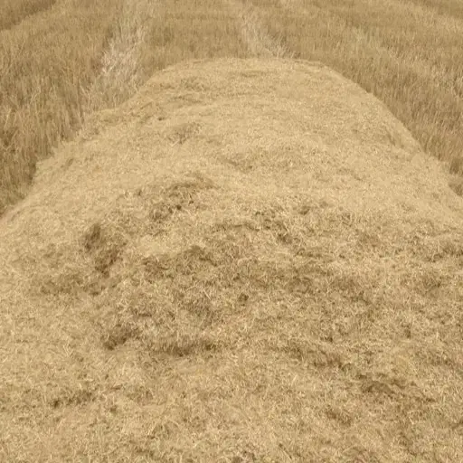 فروش کاه دیم درجه ۱|لوازم جانبی حیوانات|بوئین زهرا, |دیوار