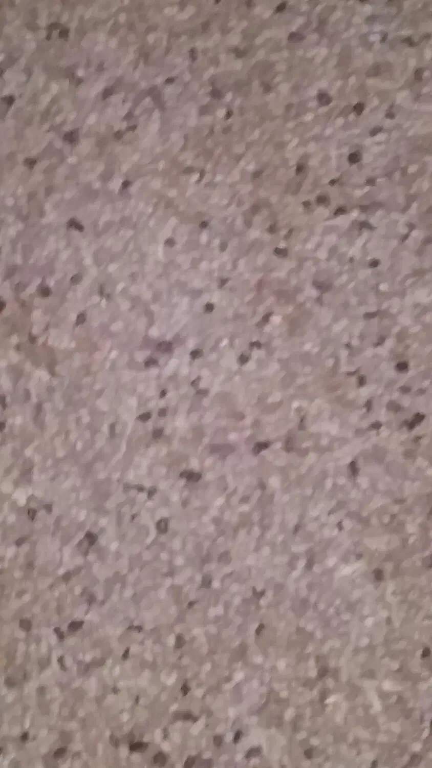 کاه لوبیا چیتی کاه|لوازم جانبی حیوانات|لاران, |دیوار