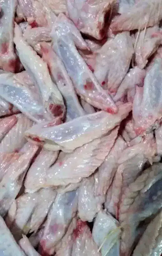 ضایعات مرغ غذای سگ|لوازم جانبی حیوانات|میناب, |دیوار