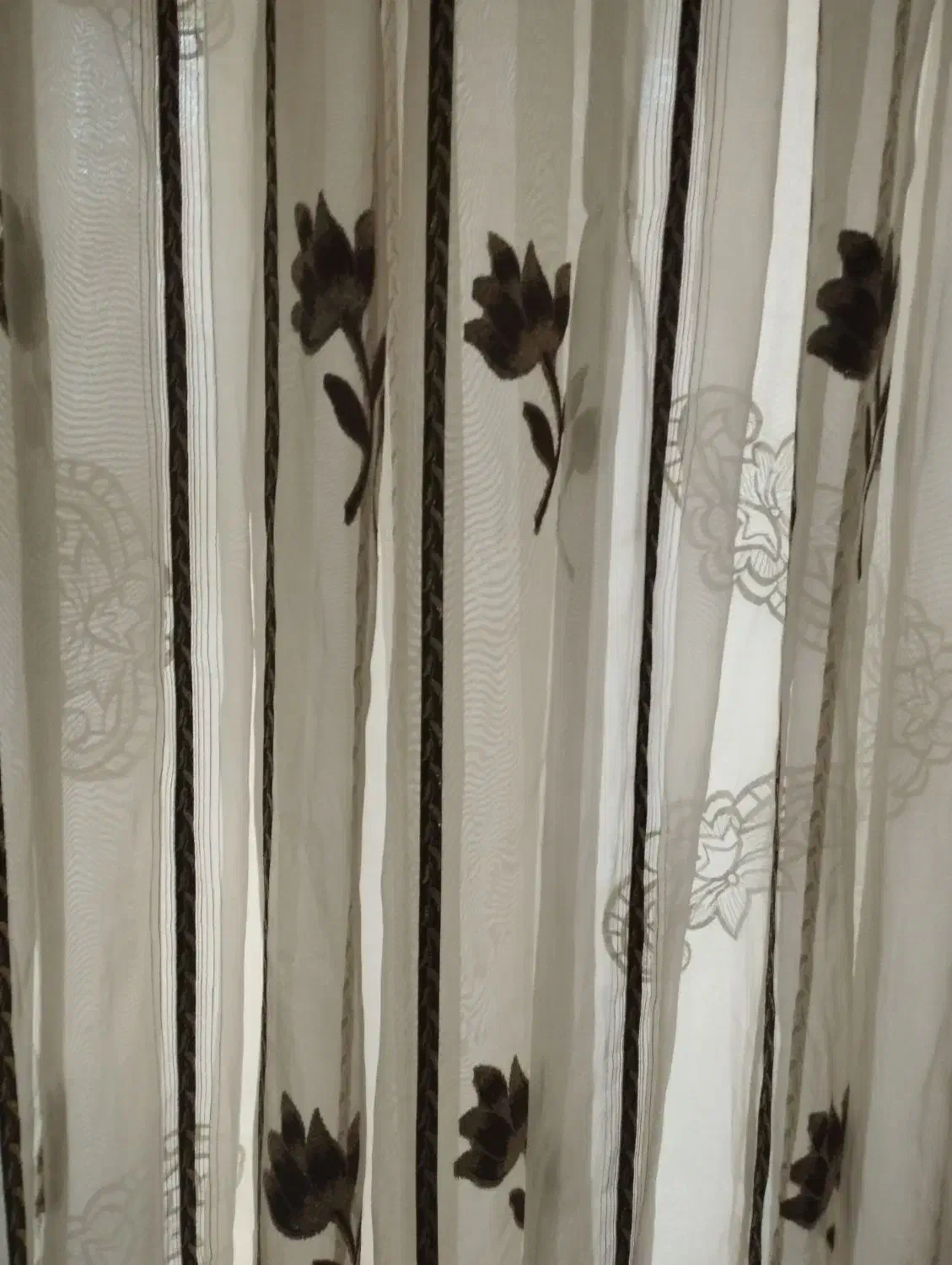 کتابخونه|کتابخانه، شلف، قفسه‌های دیواری|نیشابور, شهرک رسولی|دیوار