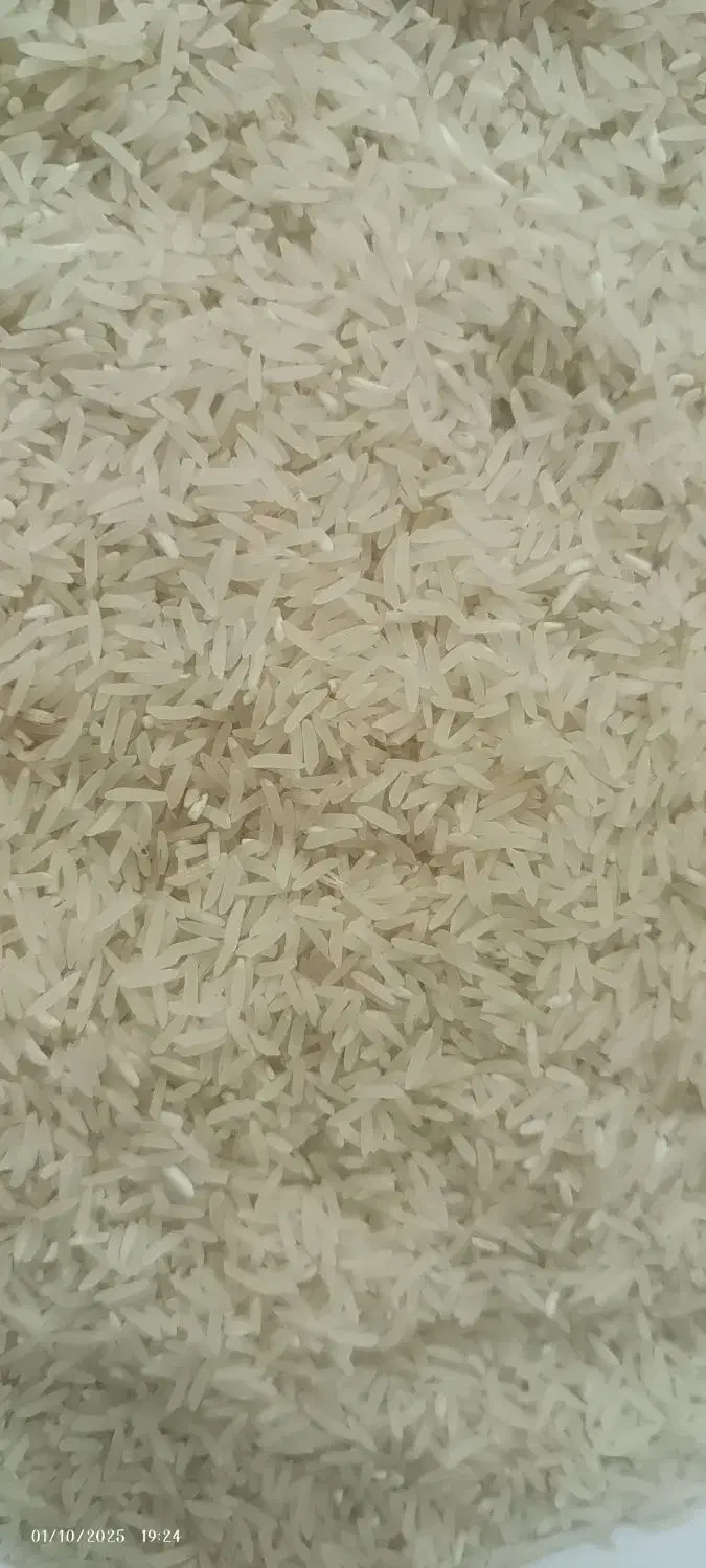 برنج فجر سوزنی گرگان|خوردنی و آشامیدنی|اصفهان, لاله|دیوار