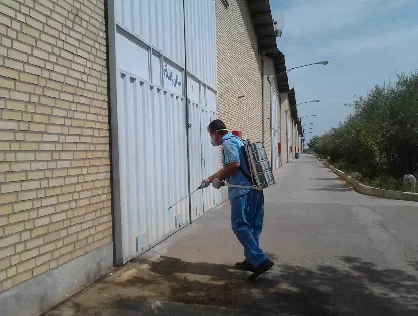 سمپاشی حشرات و جوندگان / فروش حشره کش خانگی|خدمات نظافت|کاشان, بهشتی|دیوار