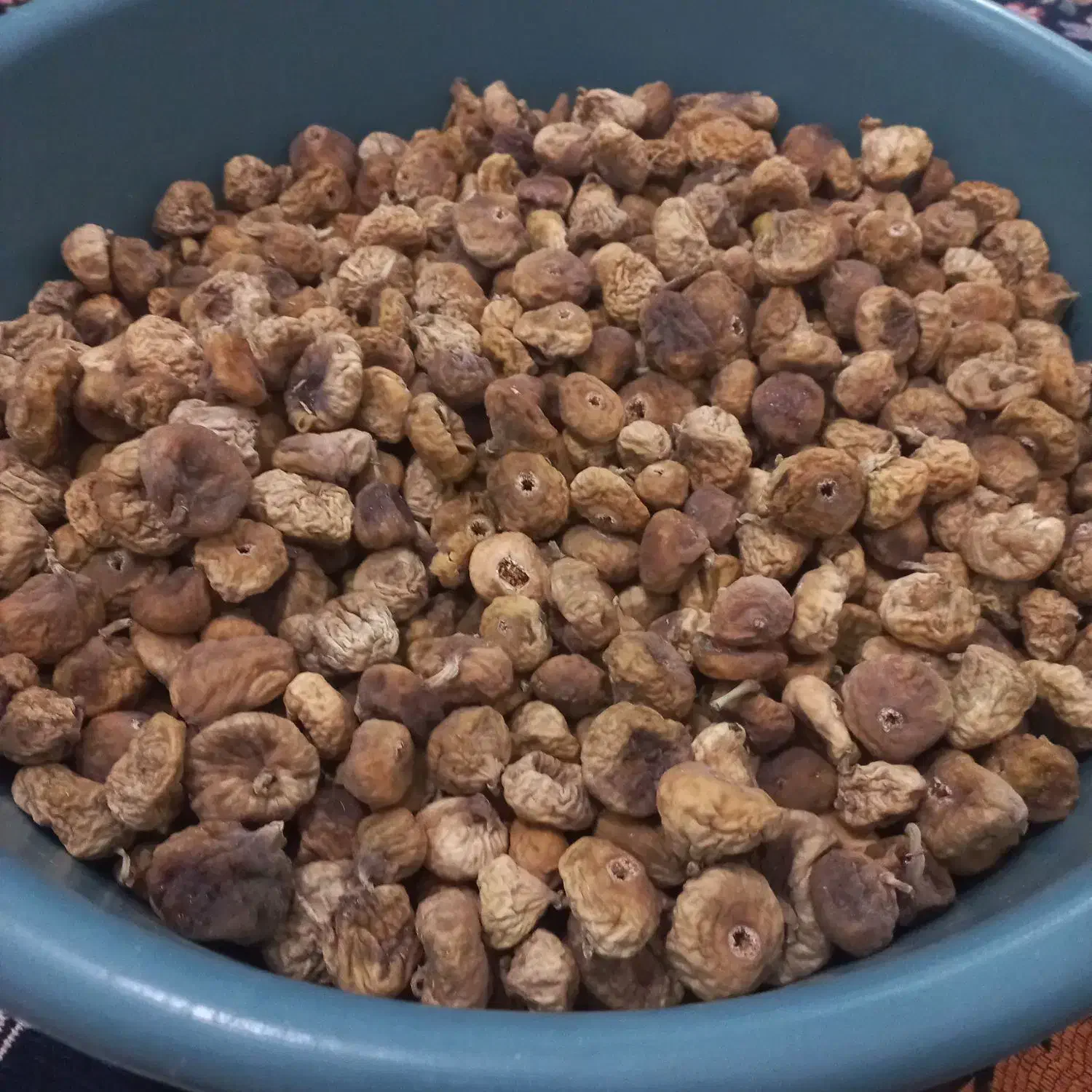 انجیر بومی|خوردنی و آشامیدنی|لردگان, |دیوار