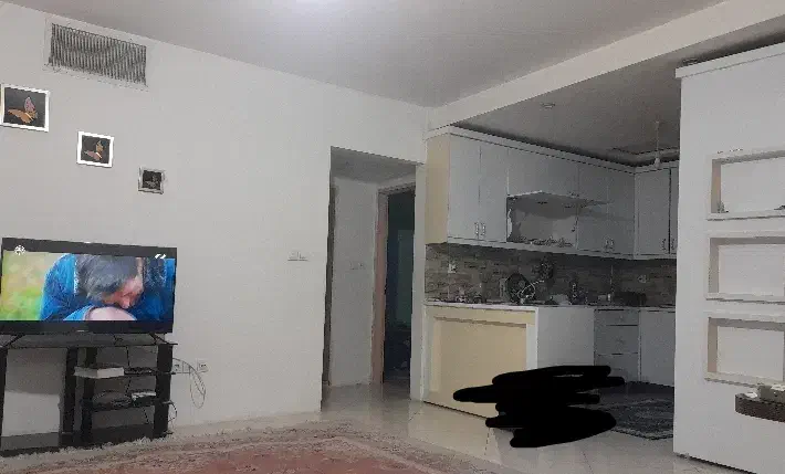 همخونه همخانه هم خونه هم خانه|اجارهٔ آپارتمان|مشهد, حسابی جنوبی (شهرک غرب)|دیوار