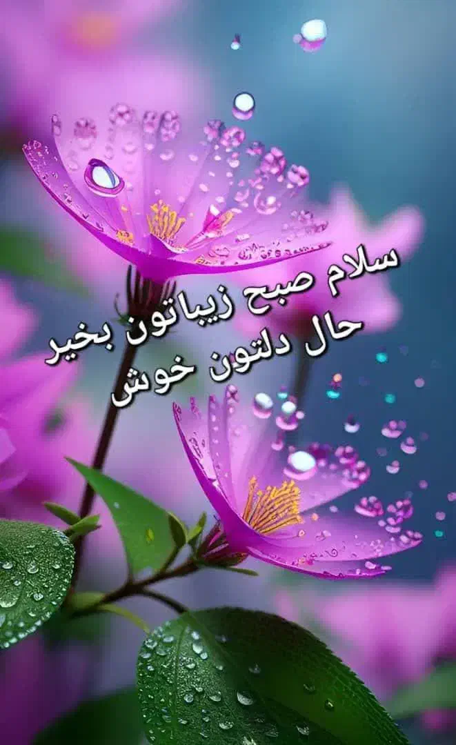 کارهای خدماتی پذیرایی و کشاورزی|خدمات نظافت|خمین, |دیوار