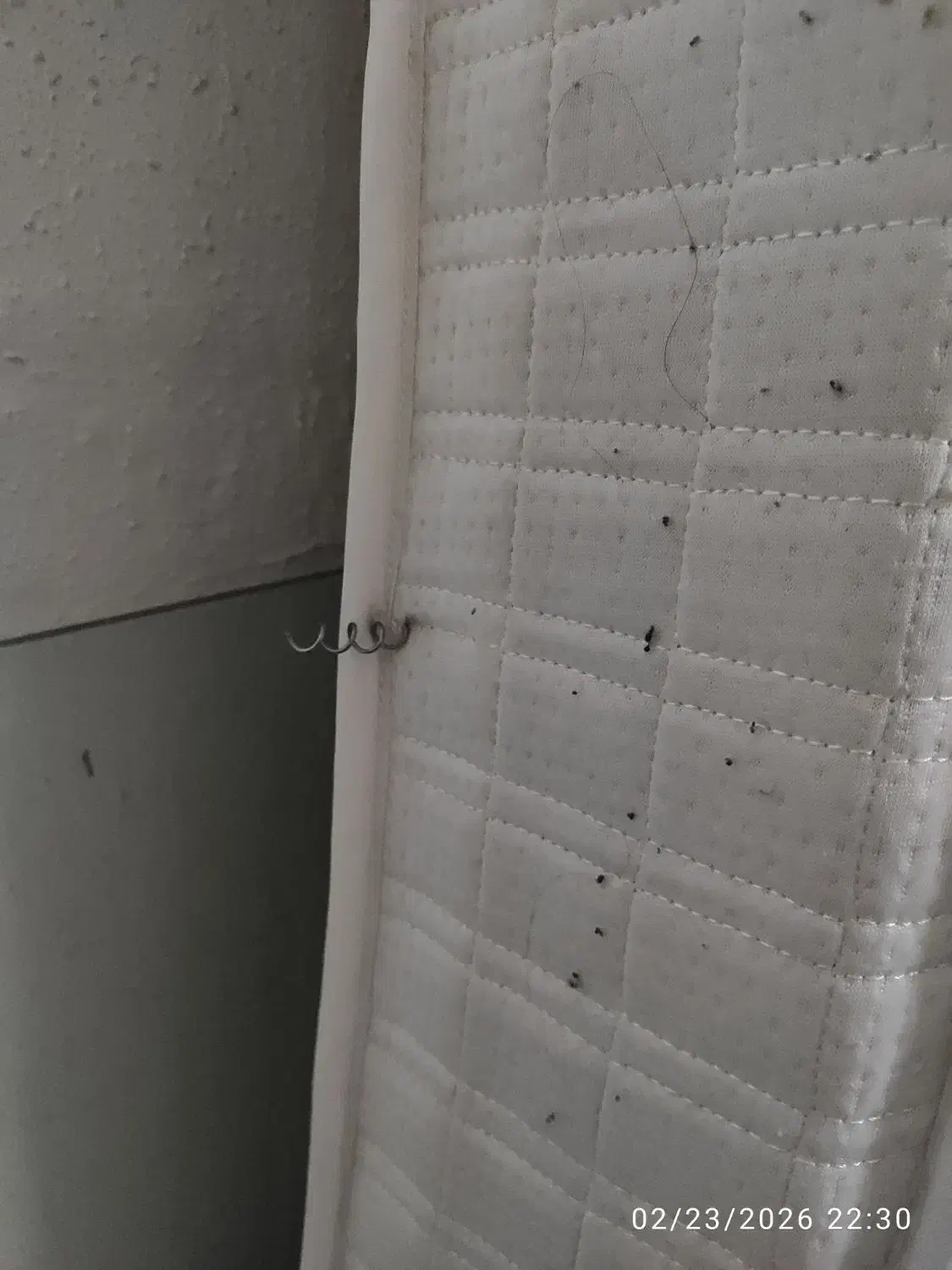 تشک تخت|تشک تختخواب|تبریز, |دیوار