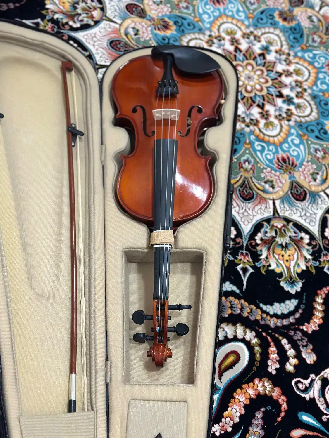 ویولن|ویولن|گناباد, |دیوار