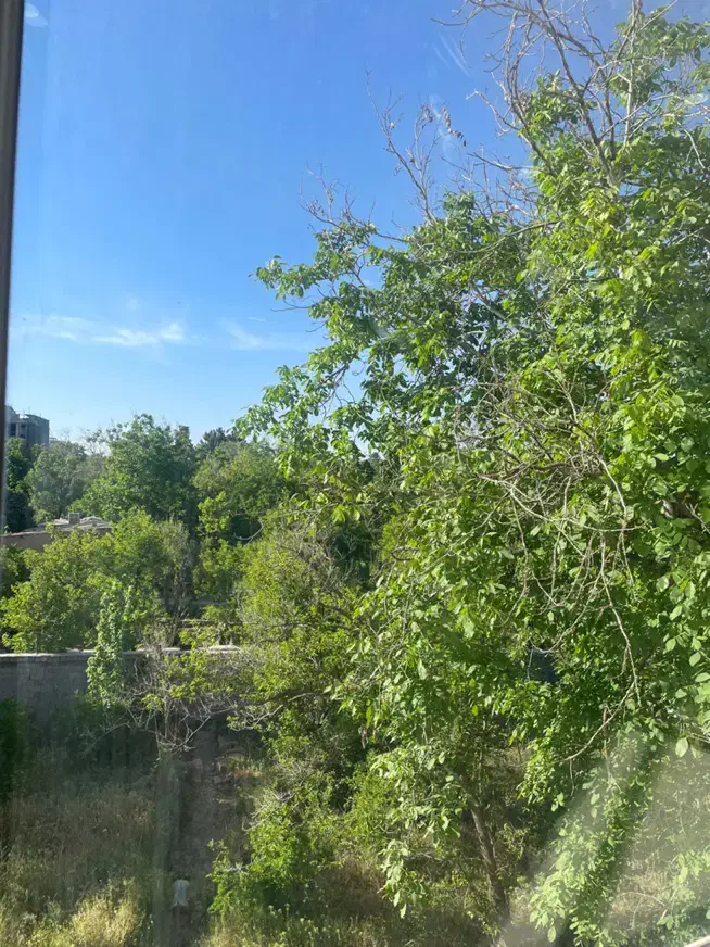 فروش زمین ۳۳۰ متری روبه باغ نیایش|فروش زمین و ملک کلنگی|شیراز, نیایش|دیوار