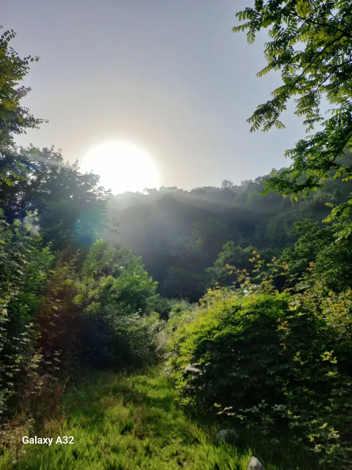 ویلا باغ کلبه جنگلی|اجارهٔ کوتاهمدت ویلا و باغ|لنگرود, |دیوار