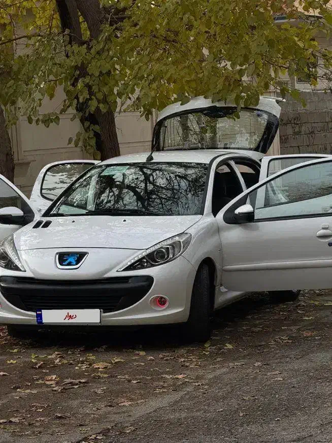 ۲۰۷مدل ۱۳۹۹بیرنگ با لوازم|خودرو سواری و وانت|مشکیندشت, |دیوار