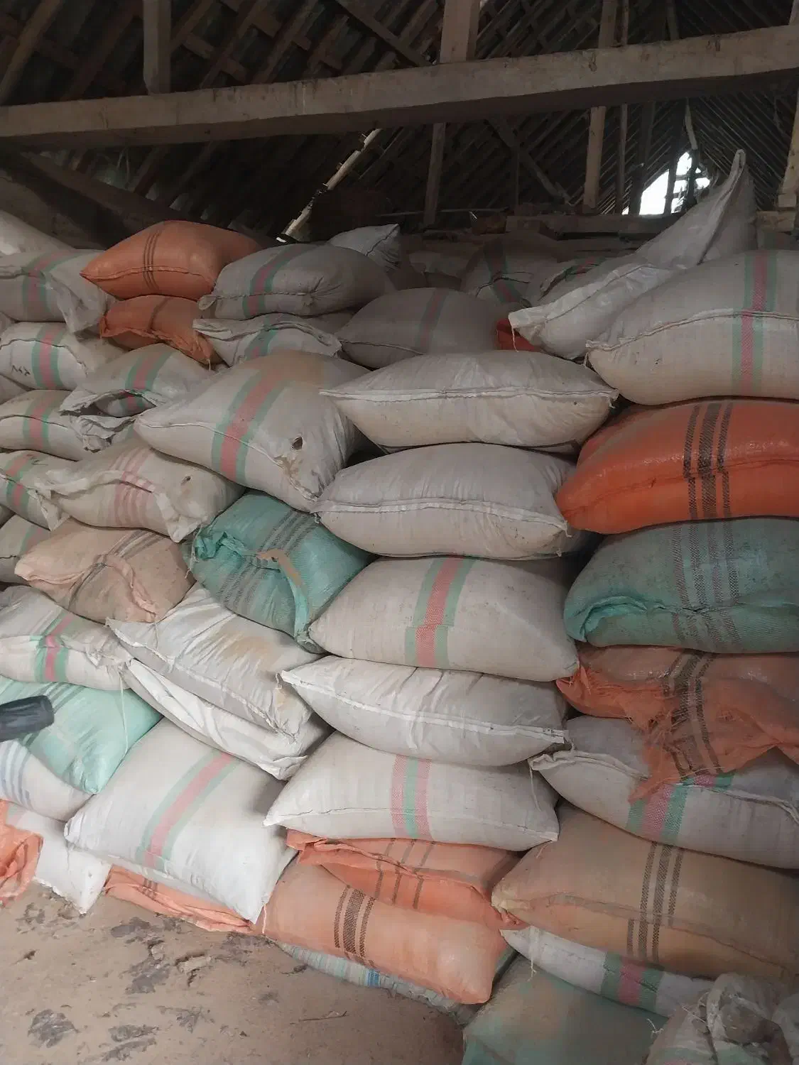 سبوس برنج|حیوانات مزرعه|آستانه اشرفیه, |دیوار