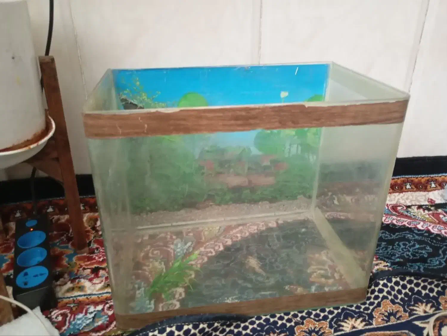 اکواریوم|ماهی|مشهد, قائم|دیوار