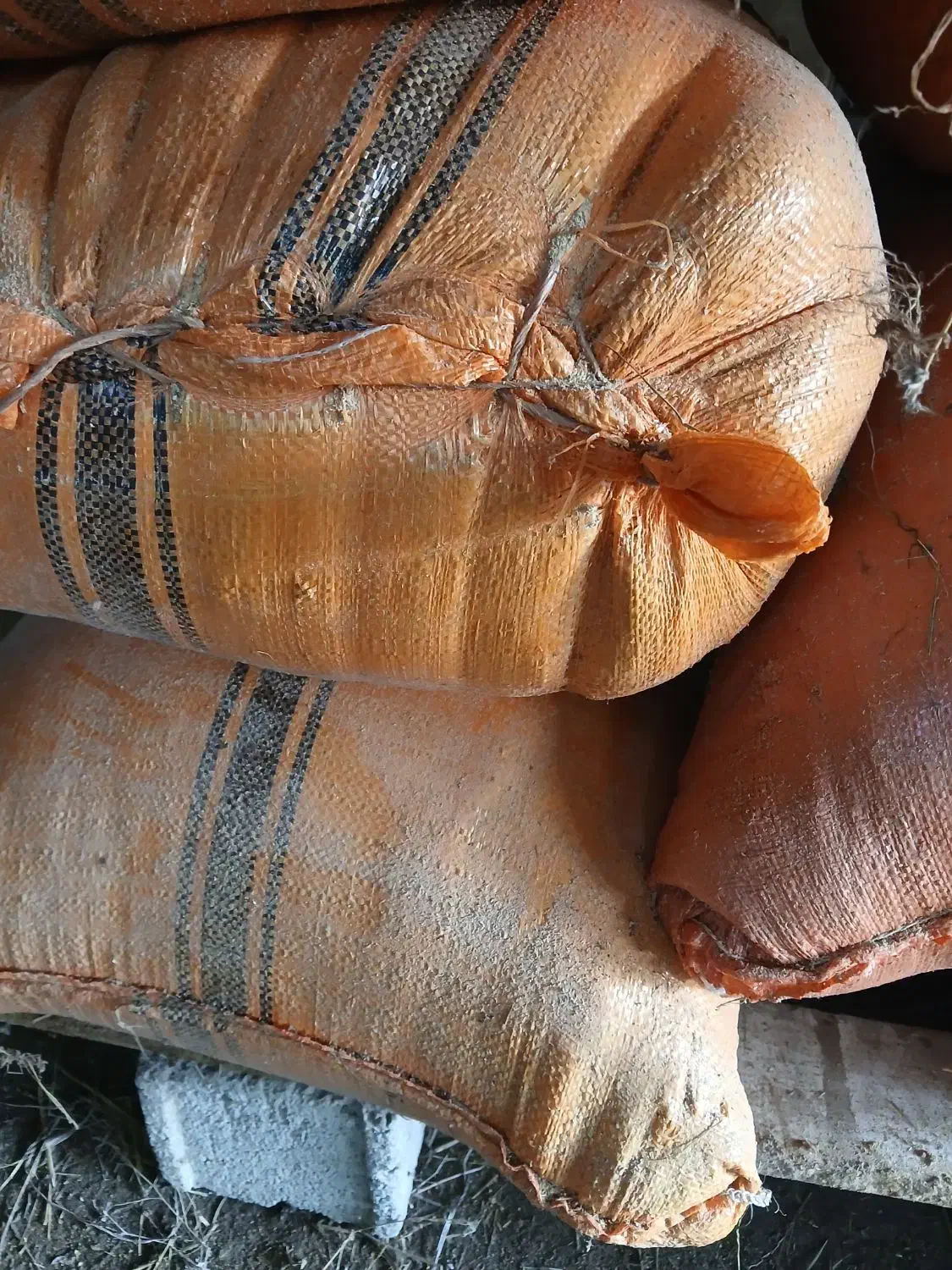 سبوس برنج|حیوانات مزرعه|اسالم, |دیوار