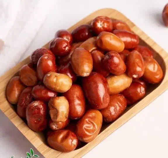نهالستان رجبی تولید نهال سنجد خرمایی|خدمات باغبانی و درختکاری|نسیم‌شهر, |دیوار