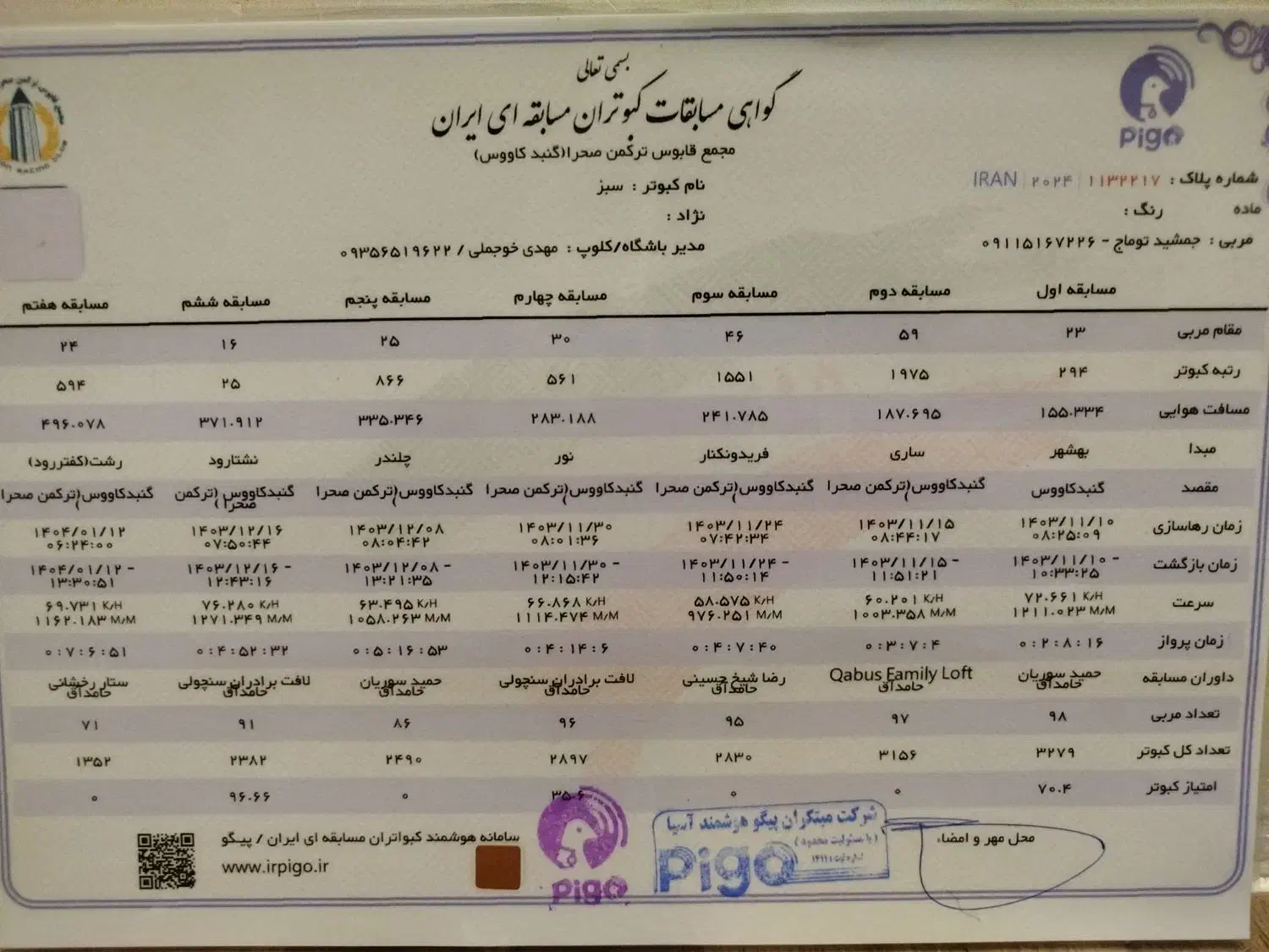 سلام جفت 500نشسته|پرنده|گنبد کاووس, |دیوار