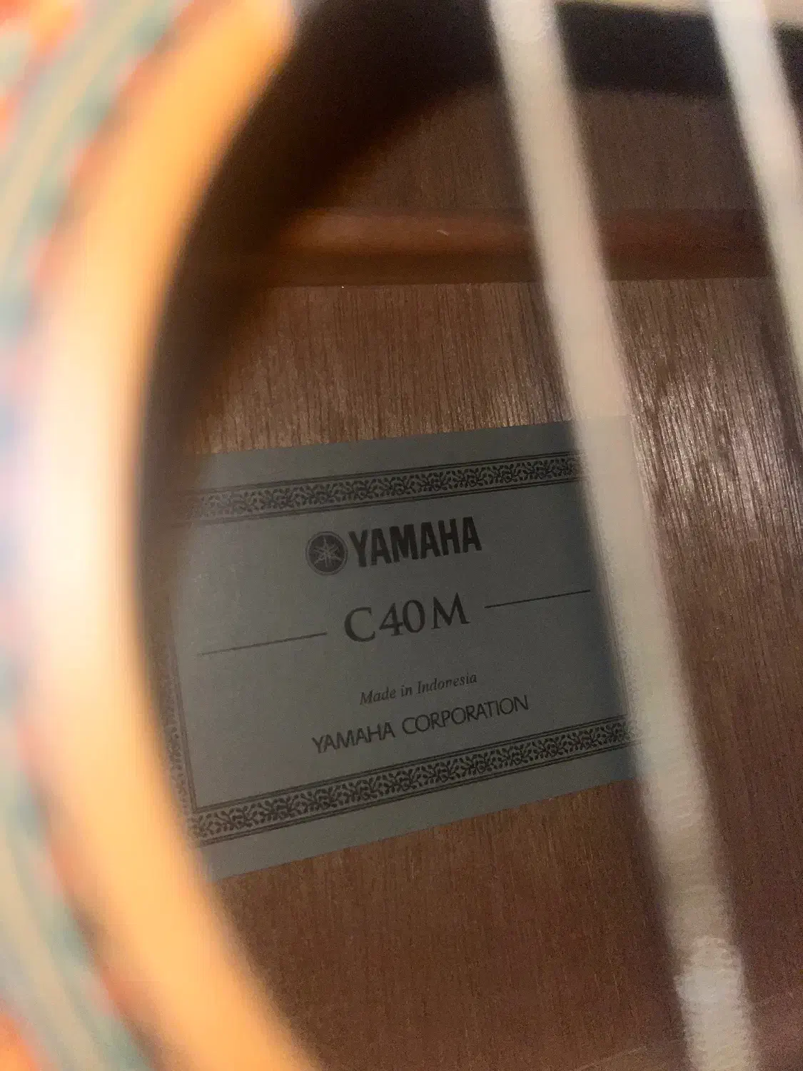 گیتار|گیتار، بیس، امپلیفایر|ساری, |دیوار