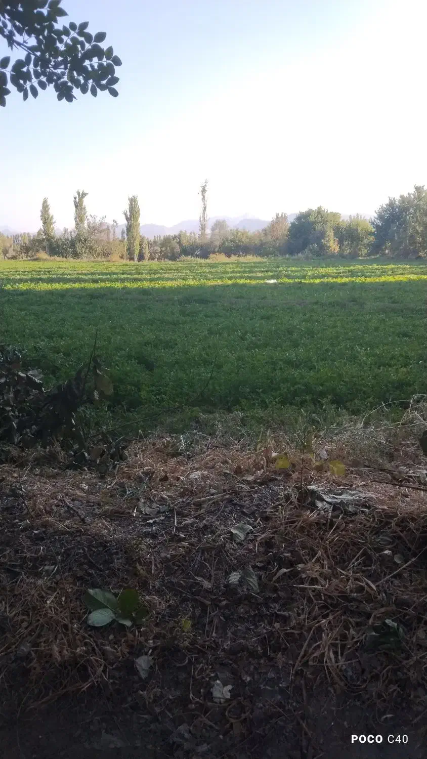 دو هزار متر زمین کشاورزی گلپایگان لورمش بر جاده|فروش زمین و ملک کلنگی|گلپایگان, |دیوار