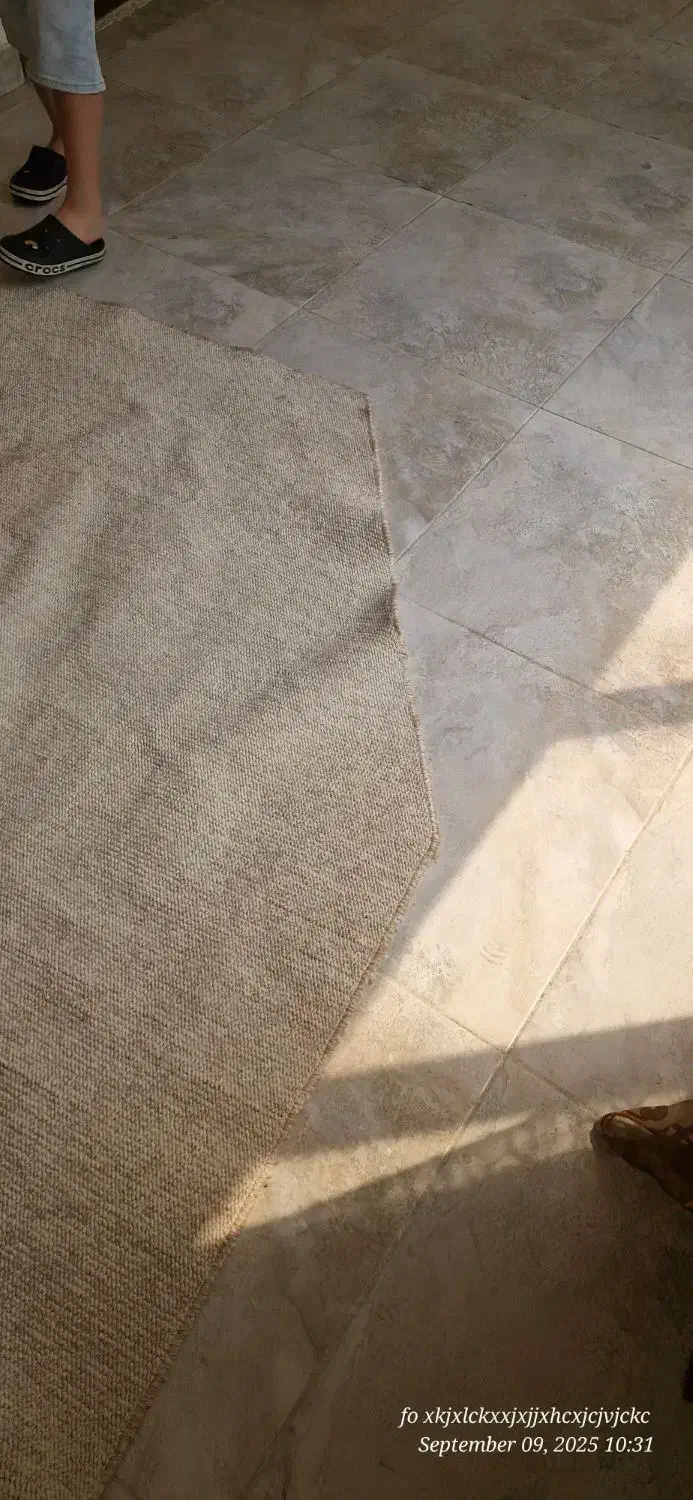 موکت ظریف مصور|موکت|کیش, |دیوار