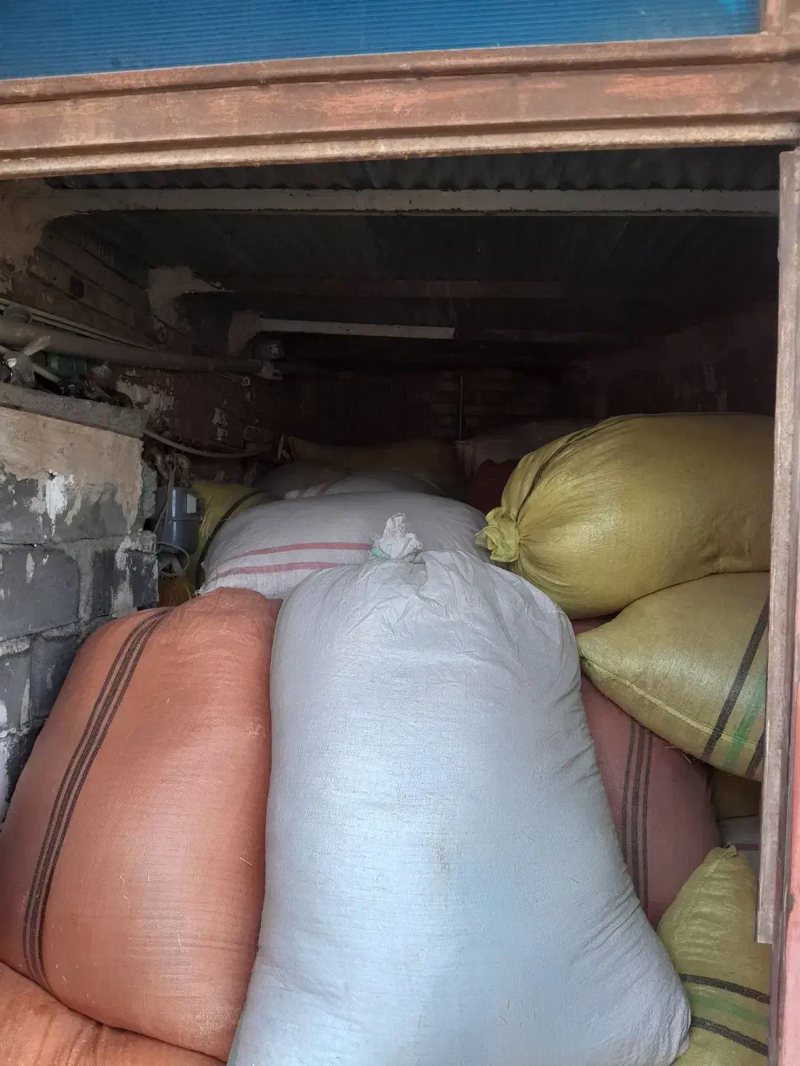 کاه نارد آبی|عمدهفروشی|تربت جام, جامرود|دیوار