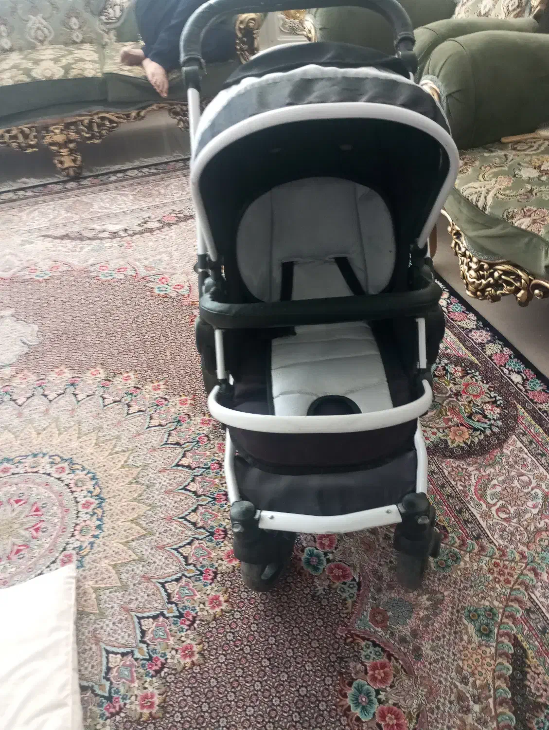 کالسکه ‌دلیجان‌روما|کالسکه و لوازم جانبی|سبزوار, چهارراه فرودگاه|دیوار