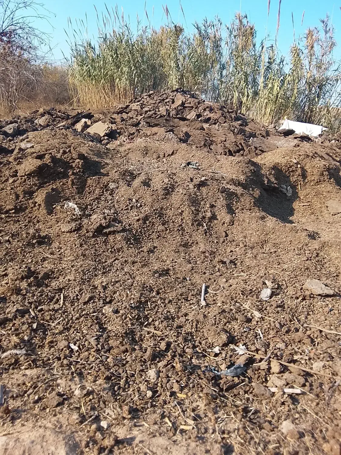 پوش گوسفند|لوازم جانبی حیوانات|آق قلا, |دیوار