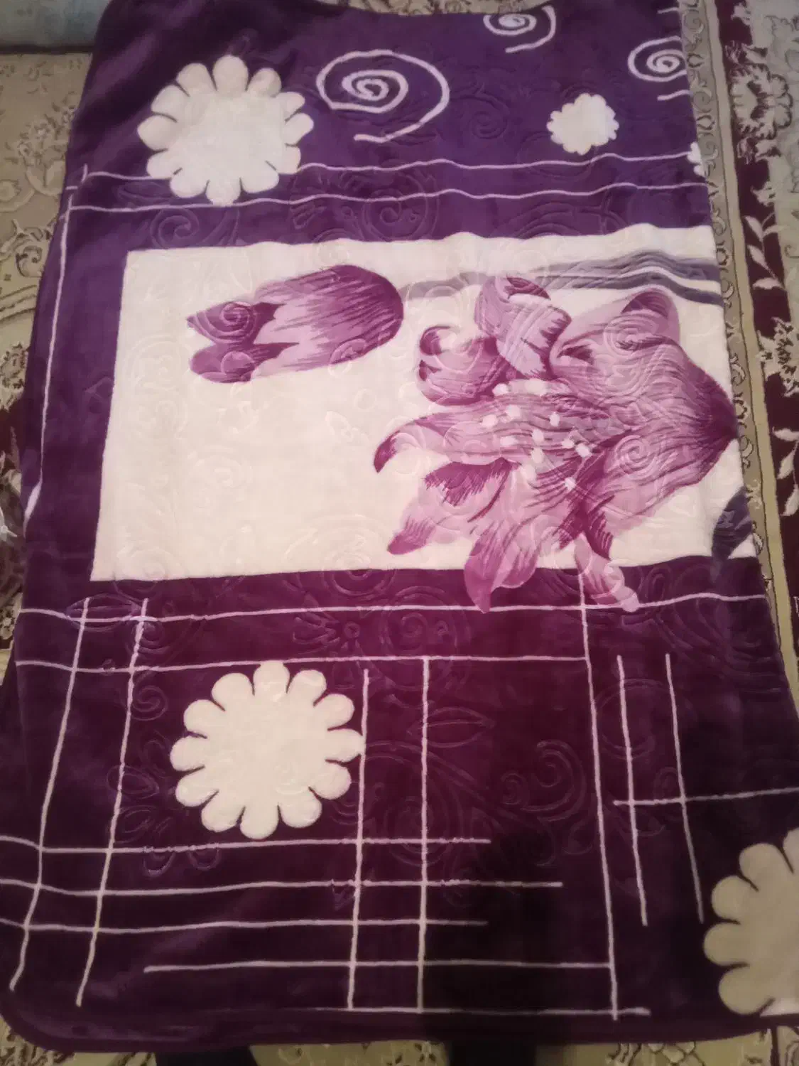 دوعددپتونو ویک دوعددکلاه ایمنی دسته دو|رختخواب، بالش، پتو|نهاوند, |دیوار