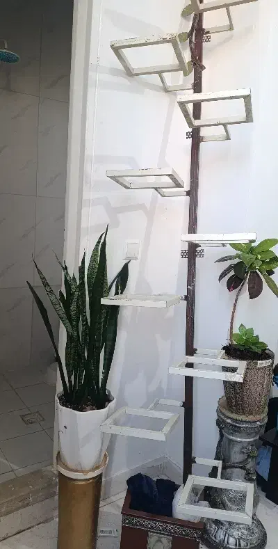 گلدان دیوار|کتابخانه، شلف، قفسه‌های دیواری|قرچک, پویینک|دیوار