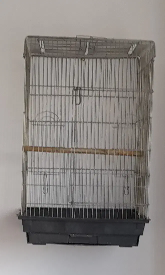 قفس بزرگ پرنده|لوازم جانبی حیوانات|بجنورد, |دیوار