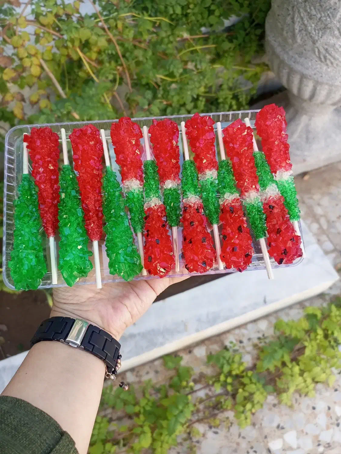 شاخه نبات یلدایی|خوردنی و آشامیدنی|کویرات, |دیوار