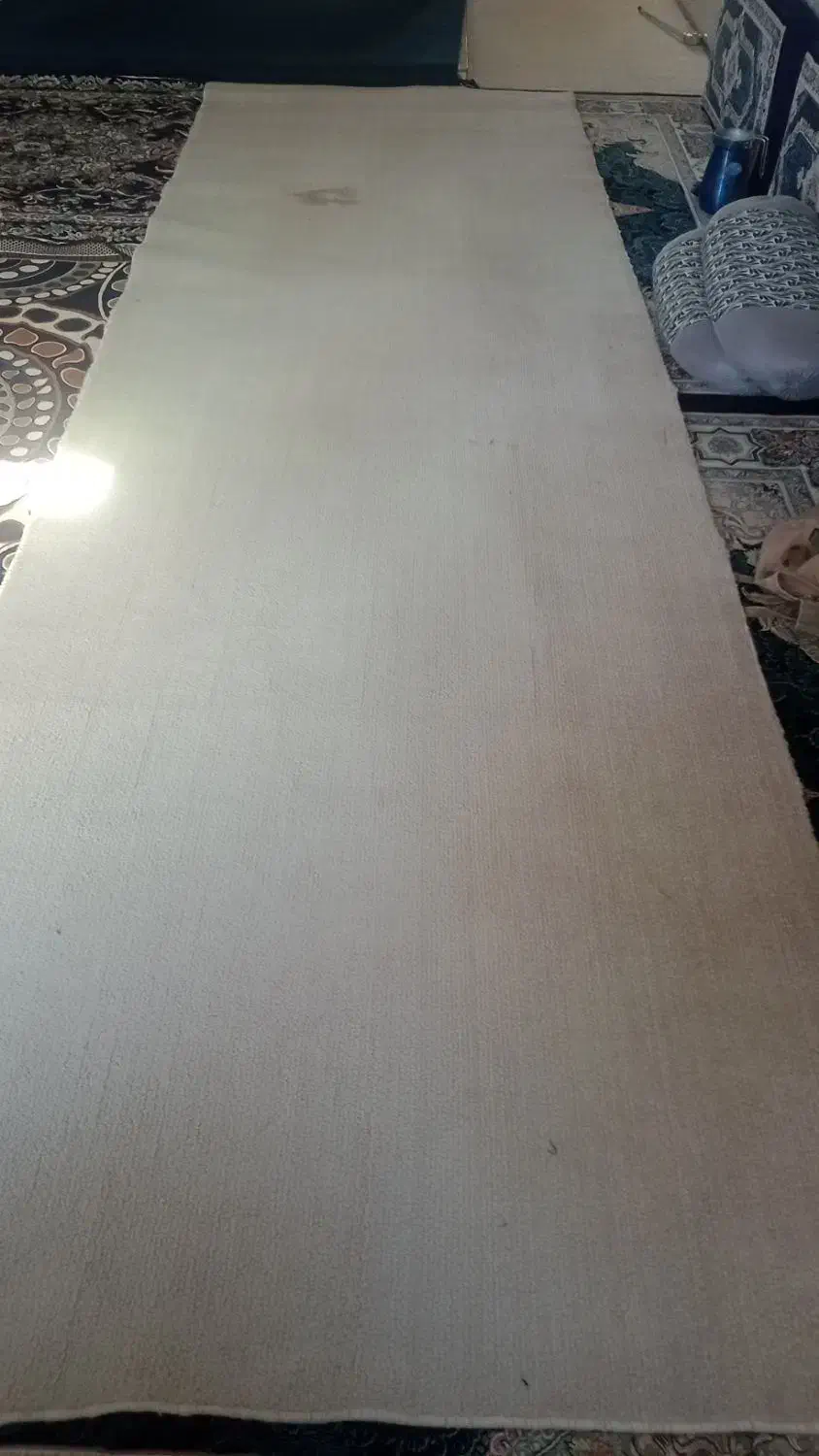 موکت دست دو|موکت|اسلام آباد, |دیوار