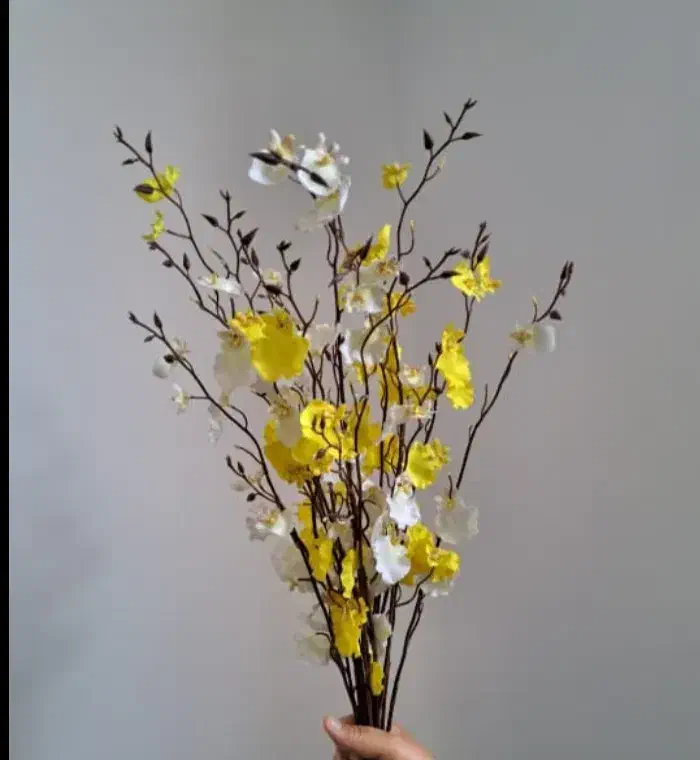 گل مصنوعی|گل مصنوعی|بندرعباس, |دیوار