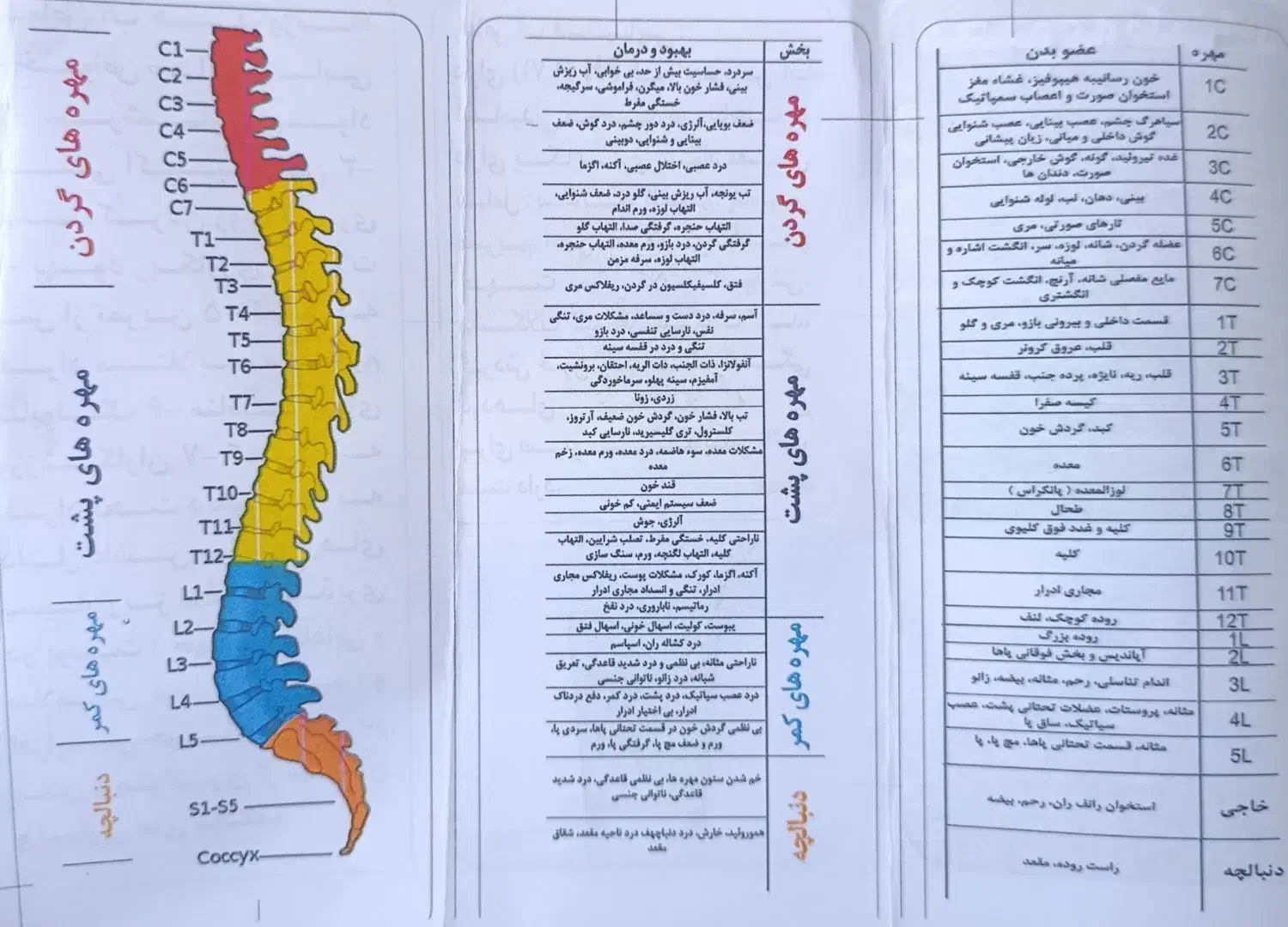 صندلی وتخت ماساژ درمانی دیسک کمر وگردن|خدمات آرایشگری و زیبایی|شیراز, زرهی|دیوار
